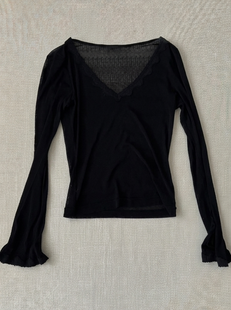 Sheer Lace-Trim V-Neck Long Sleeve Top